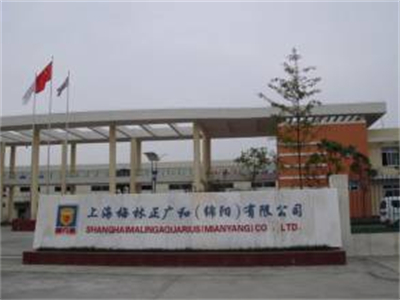 上海梅(méi)林正廣和（綿(mián)陽）有限公司(si)