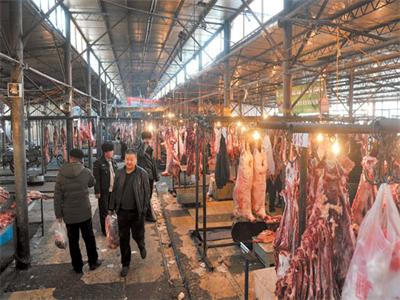 烏魯木齊米(mi)東區華淩畜(chù)牧基地